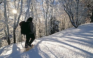  Salidas con raquetas de nieve